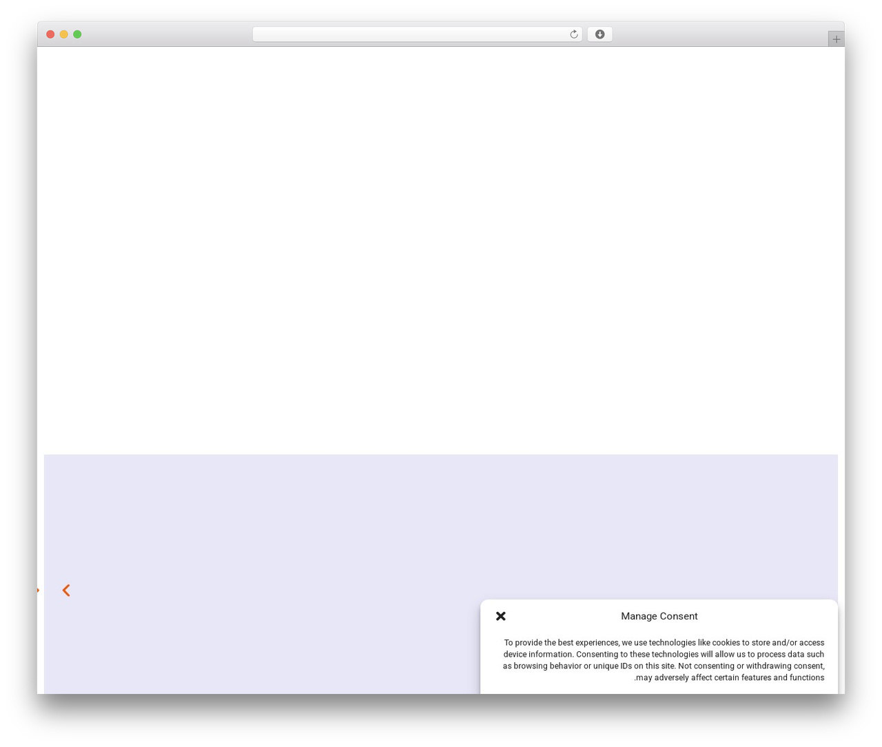 WordPress theme Hello Elementor - netta.org.il