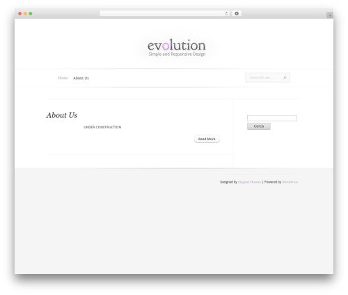 Evolution WordPress theme - tysonprojects.com