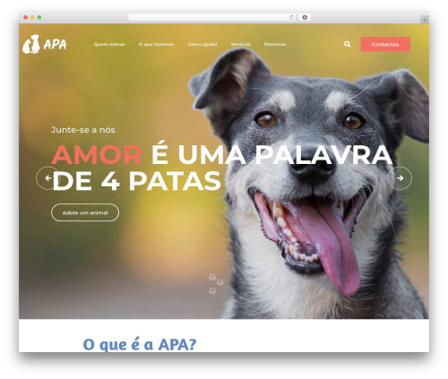 JupiterX theme WordPress - apatorresvedras.pt