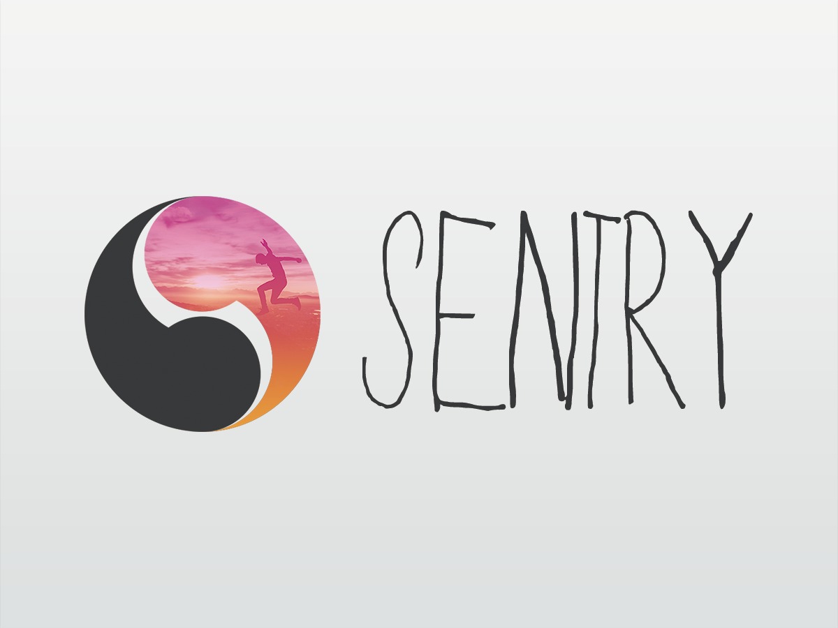 Sentry WordPress theme design Sentry WordPress theme design