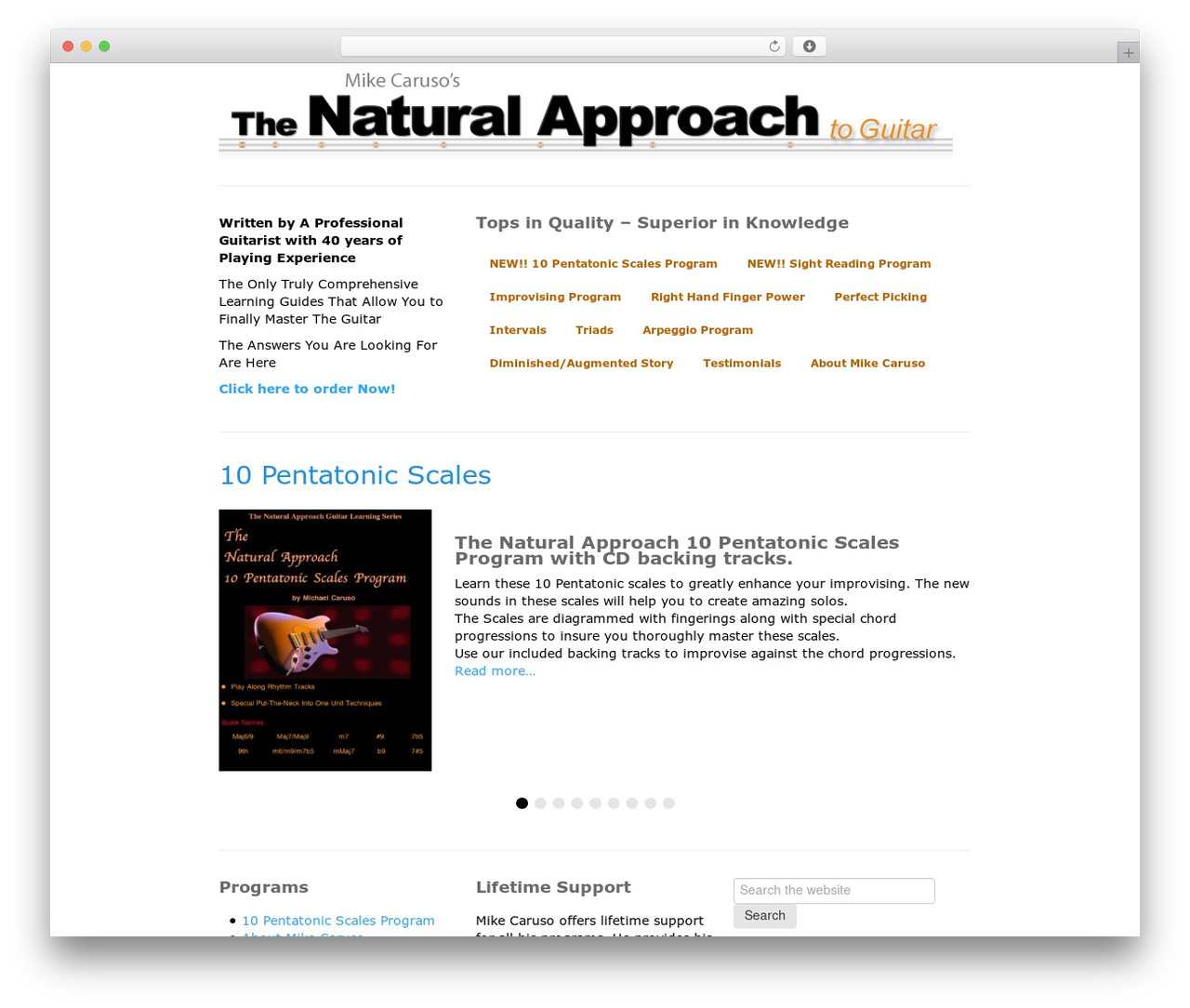 Simple Store WordPress website theme - thenaturalguitar.com