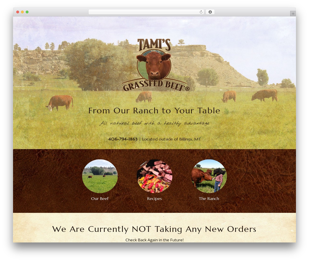Theme WordPress DMS - tamisgrassfedbeef.com