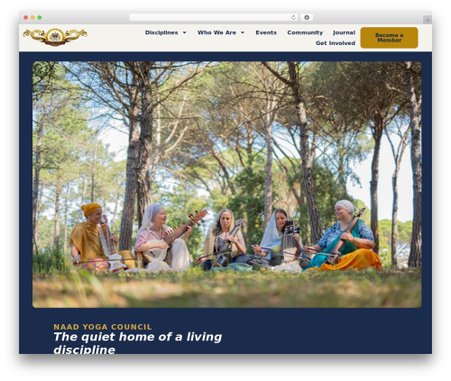 WordPress theme Hello Elementor - naadyogacouncil.com