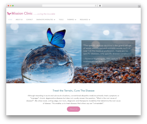 WP Accordion (my-accordion) free WordPress plugin - mission-clinic.com