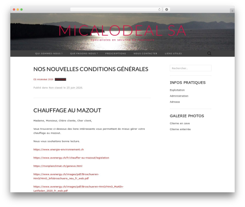 WordPress theme Suits - barone-sarl.ch