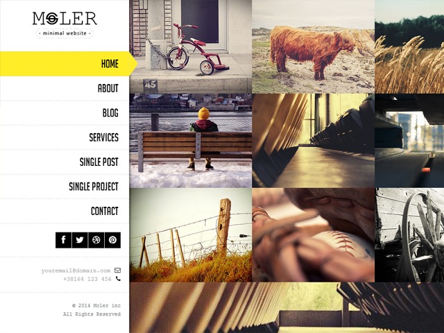 WP theme Moler by Erathemes