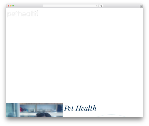 Drag and drop file upload for elementor forms WordPress plugin - pethealthhospital.com