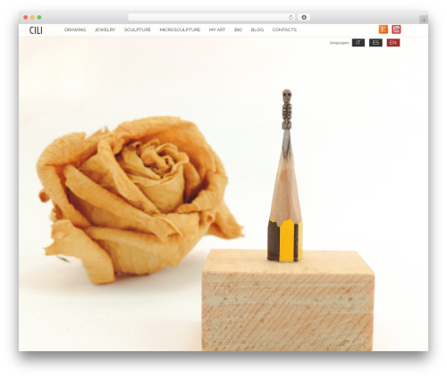 Shuttershot theme WordPress - gilbertovavala.com