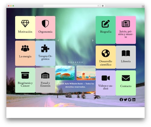 WordPress website theme Constructor - aulareich.com