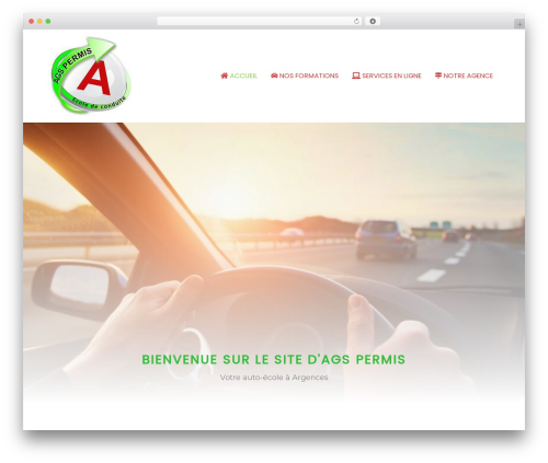 Mihdan index now WordPress plugin - agspermis.com