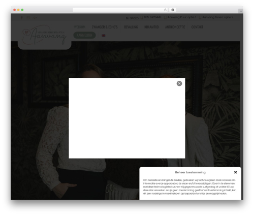 Themify Popup (themify-popup) free WordPress plugin - verloskundigenpraktijkaanvang.nl