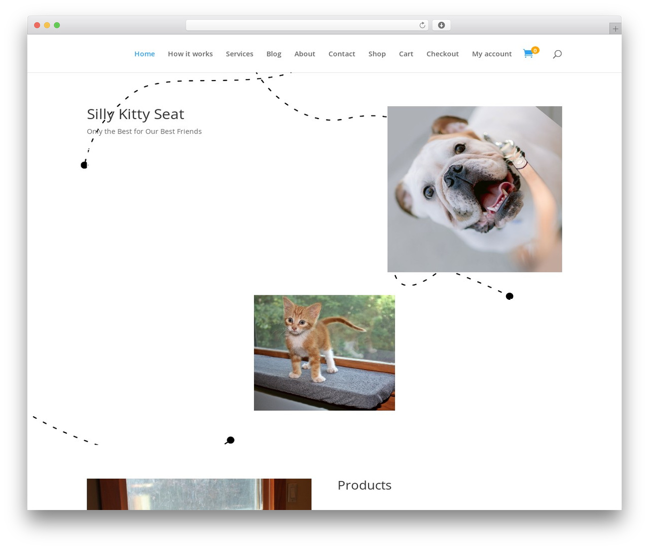 Divi theme WordPress - sillykittyseat.com