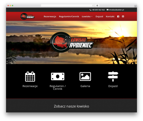 Elfsight facebook feed cc WordPress plugin - rybieniec.pl