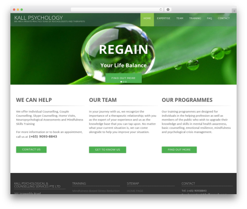 Materializer WP (materializer) free WordPress plugin - kall-psych.com Materializer WP (materializer) free WordPress plugin - kall-psych.com