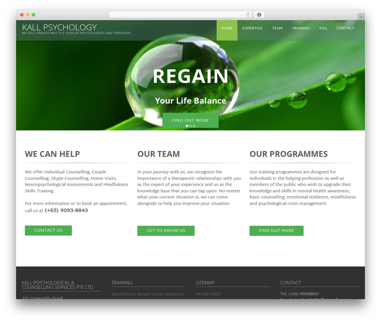 WordPress theme Xcel - kall-psych.com