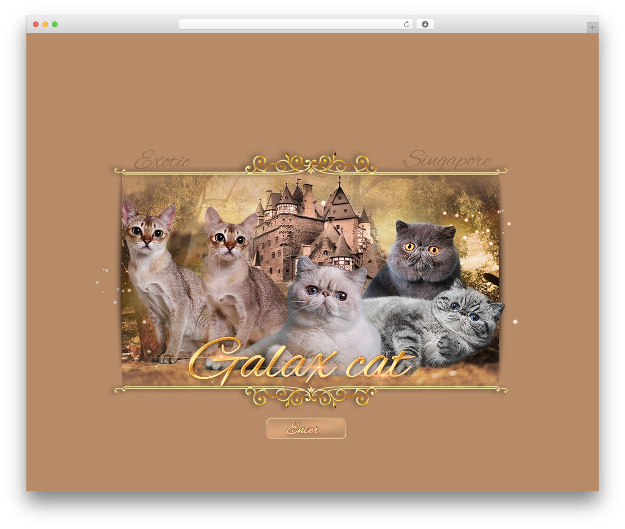 Constructor WordPress website theme - galax-cat.com Constructor WordPress website theme - galax-cat.com