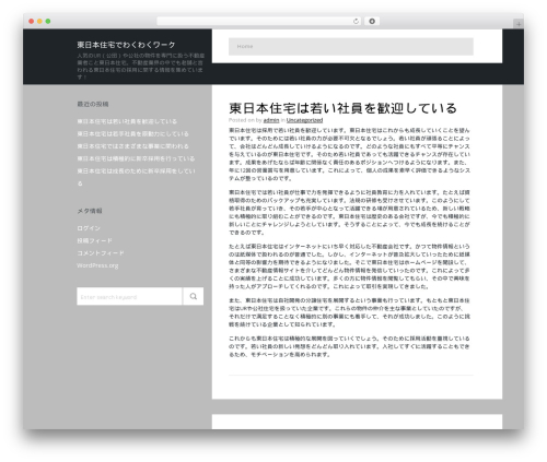 Phat WordPress theme - zeitnet.com