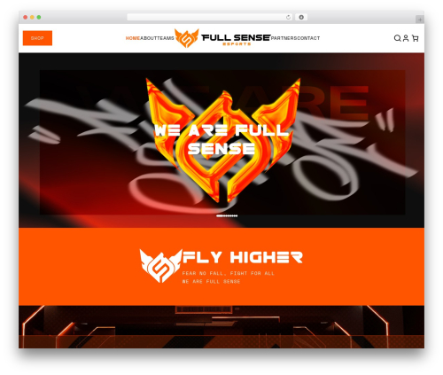 PicoStrap5 Child Base best WordPress theme - fullsense.gg