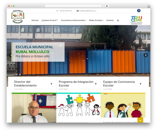 Tema WordPress theme - mollulco-temuco.cl