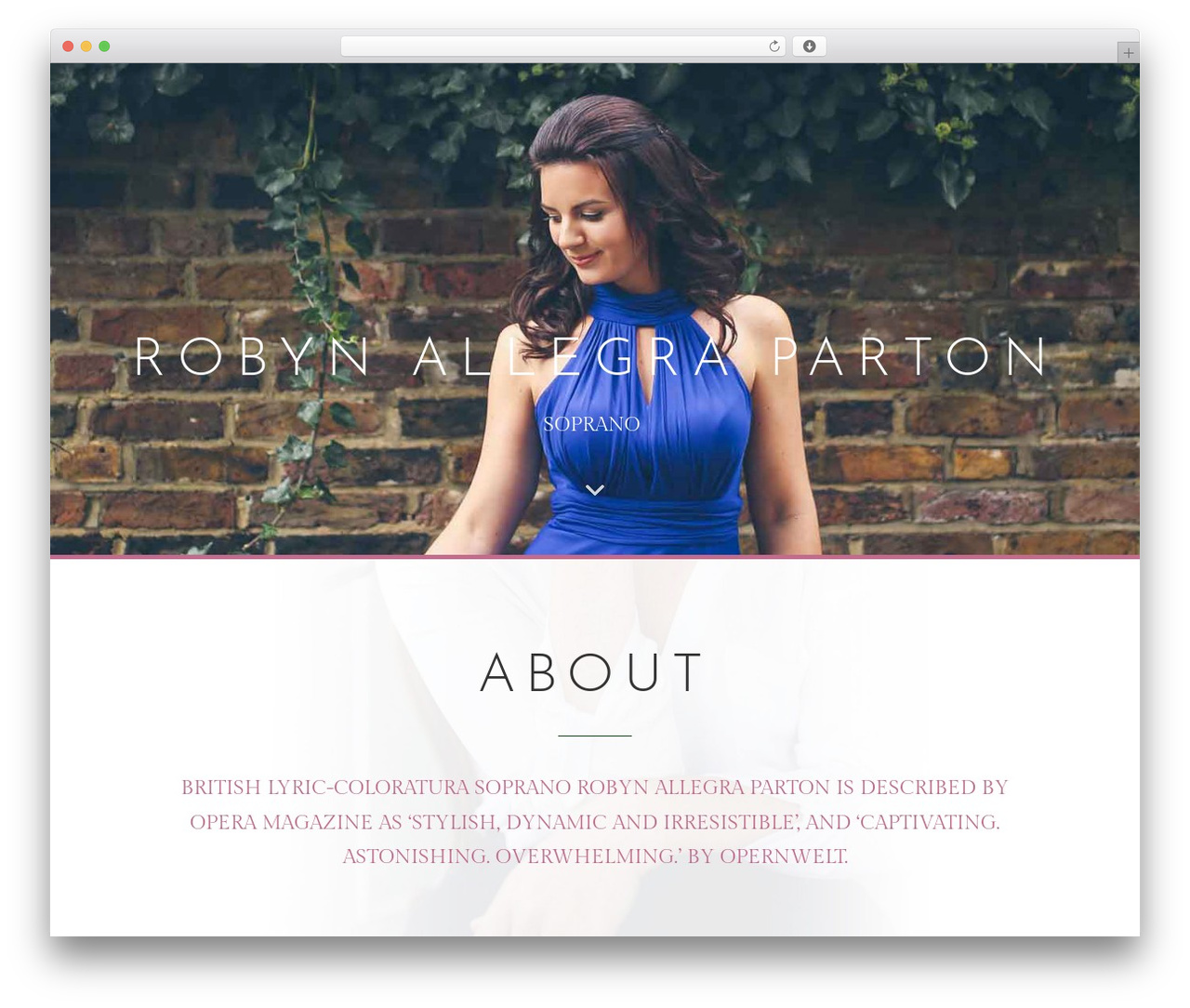 Theme WordPress Divi - robynallegraparton.com