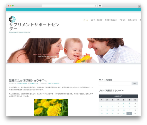 Wp Edit Password Protected – Create Member/User Only Page & Design Password Protected Form (wp-edit-password-protected) free WordPress plugin - ss-center.com