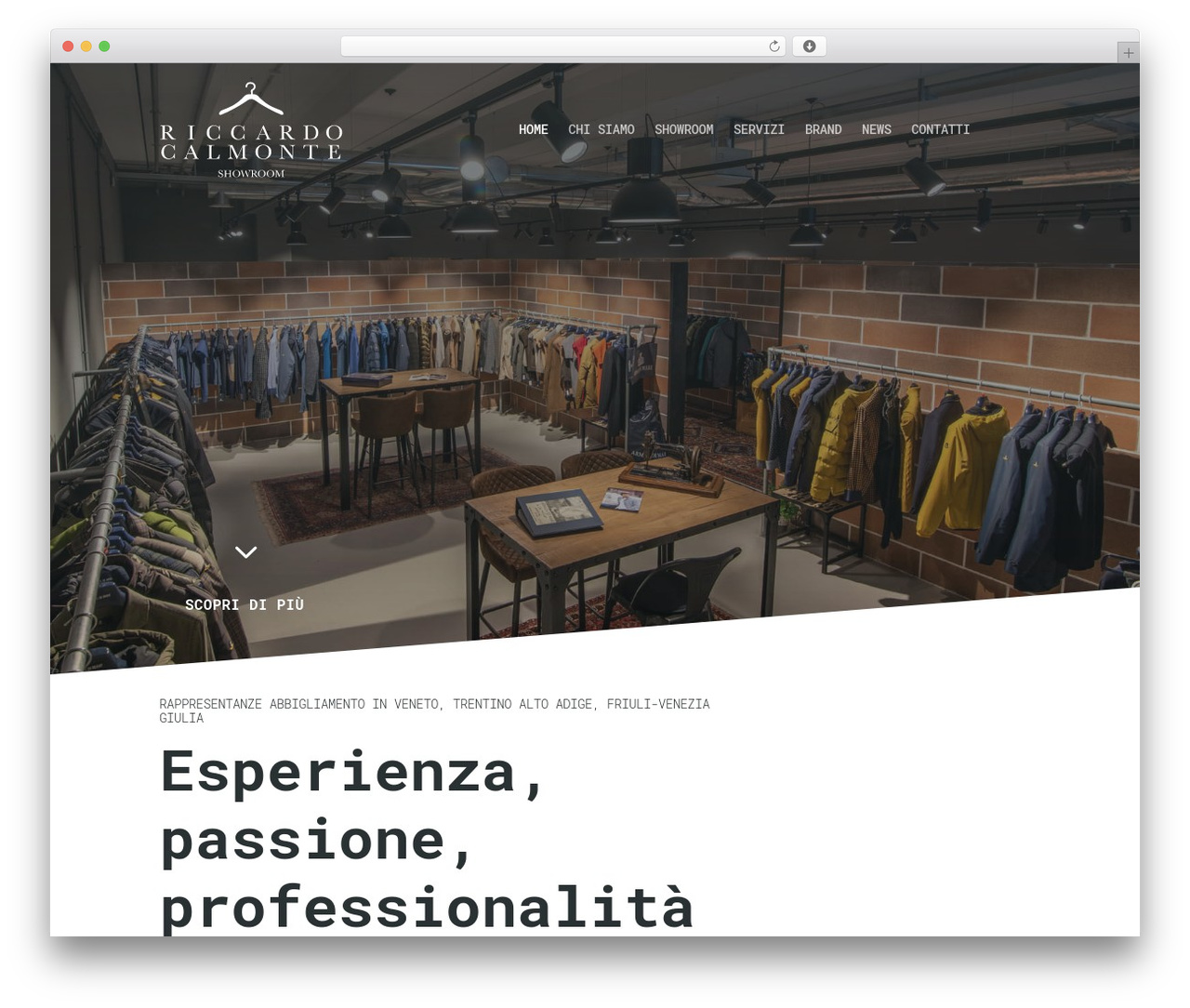 WordPress theme Divi - riccardocalmonte.com WordPress theme Divi - riccardocalmonte.com
