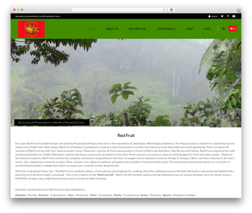 MX WordPress theme - visionaryinternational.com