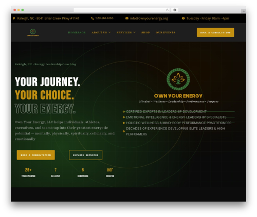 Table builder block WordPress plugin - ownyourenergy.org