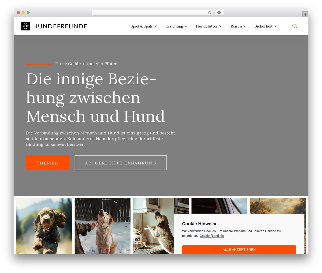 Hello Elementor theme WordPress - schnaeuzchen.de Hello Elementor theme WordPress - schnaeuzchen.de