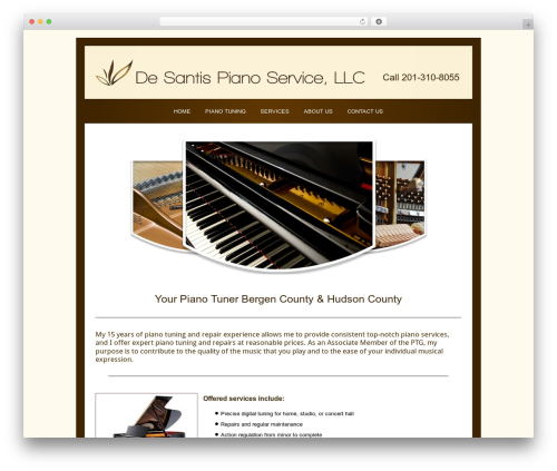 theme10 WordPress theme - desantispianoservice.com