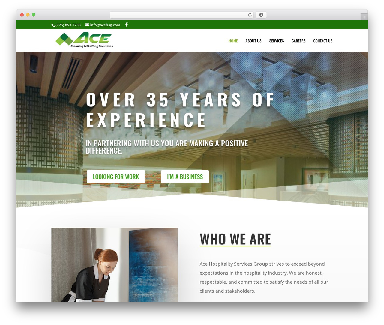 WordPress theme Divi - acehsg.com