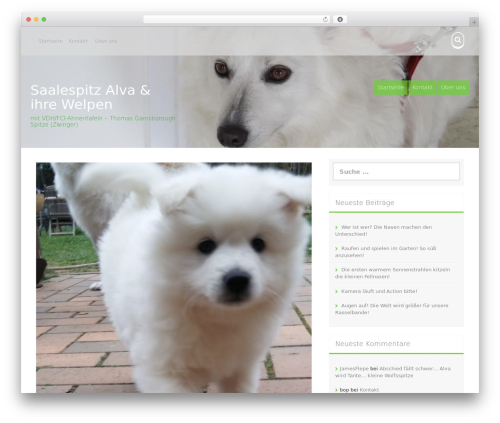 Secure HTML5 Video Player (secure-html5-video-player) free WordPress plugin - grossspitz-alva.de Secure HTML5 Video Player (secure-html5-video-player) free WordPress plugin - grossspitz-alva.de