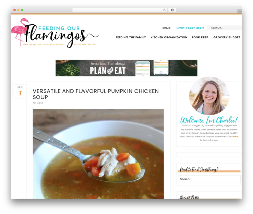 Related posts by zemanta WordPress plugin - feedingourflamingos.com