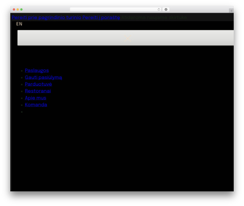 Bricks theme WordPress plugin - gastroles.lt
