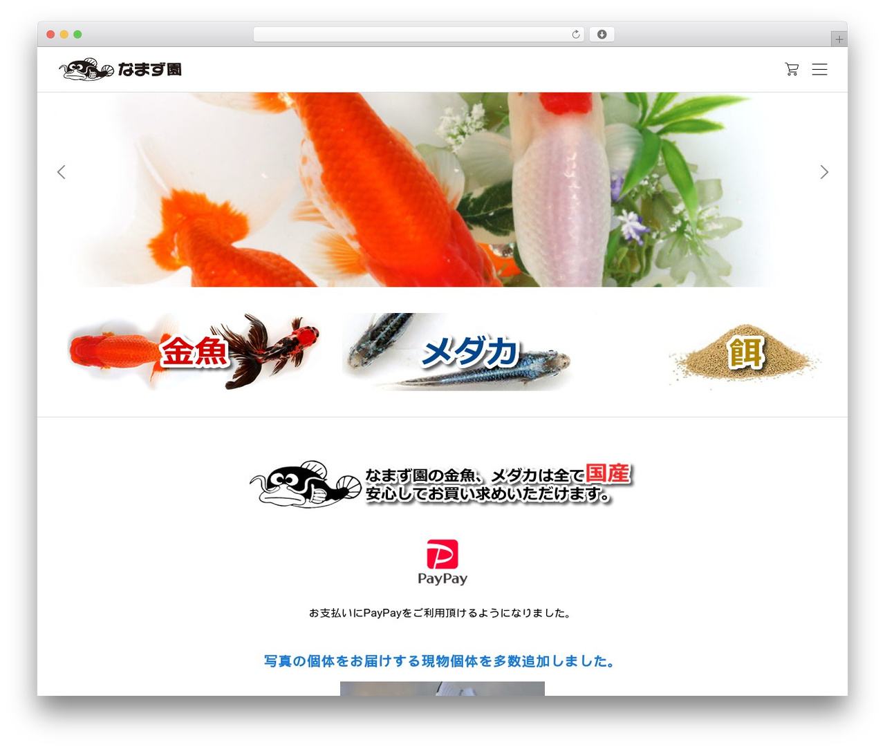 WordPress theme common - namazuen.com
