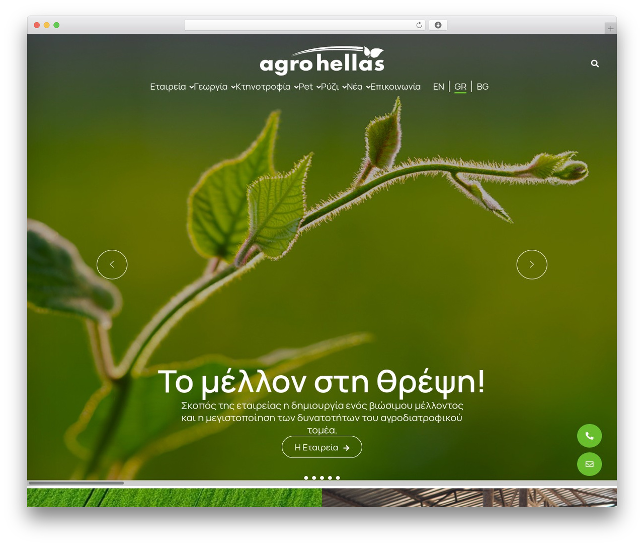 agrohellas theme WordPress - agrohellas.com agrohellas theme WordPress - agrohellas.com