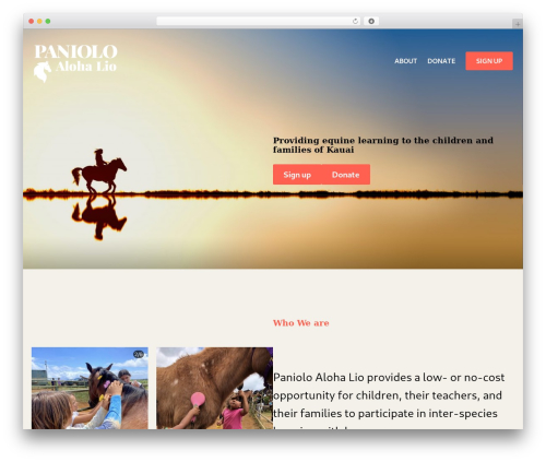 aloha WordPress theme - alohapaniololio.com