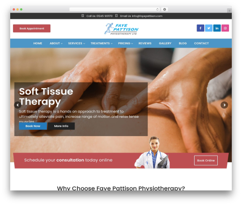 FSE Theme WordPress theme - fayepattison.com