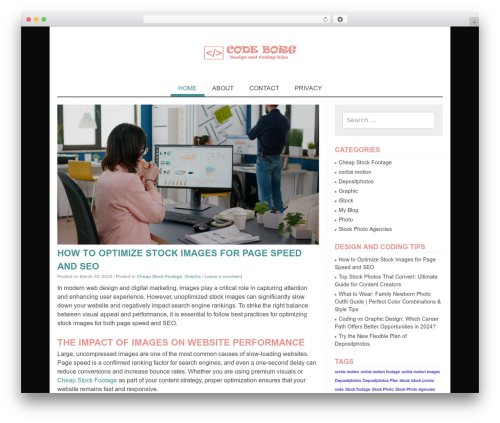Monaco WordPress theme - codeborg.com