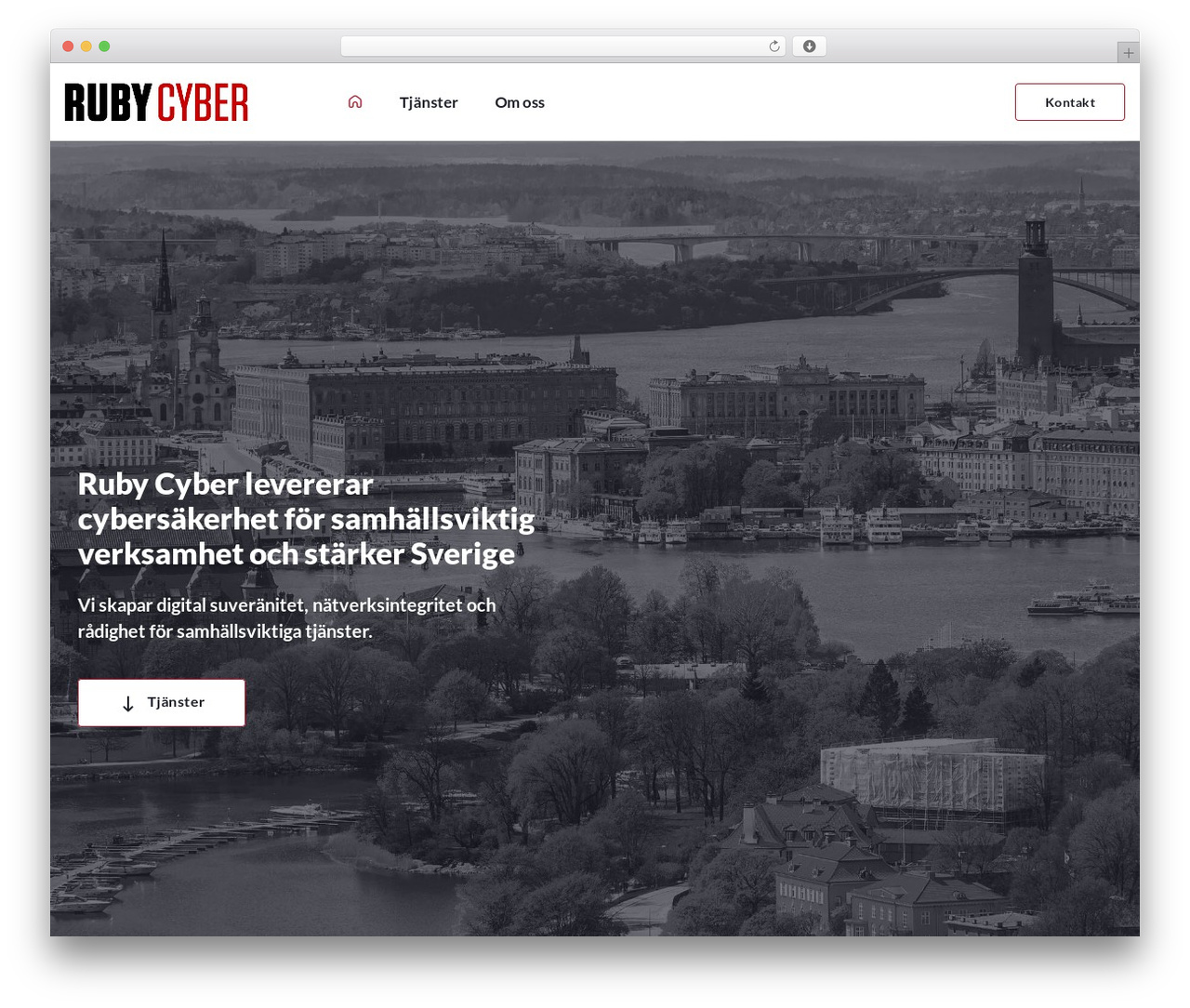 Ruby Cyber WP theme - rubycyber.com Ruby Cyber WP theme - rubycyber.com