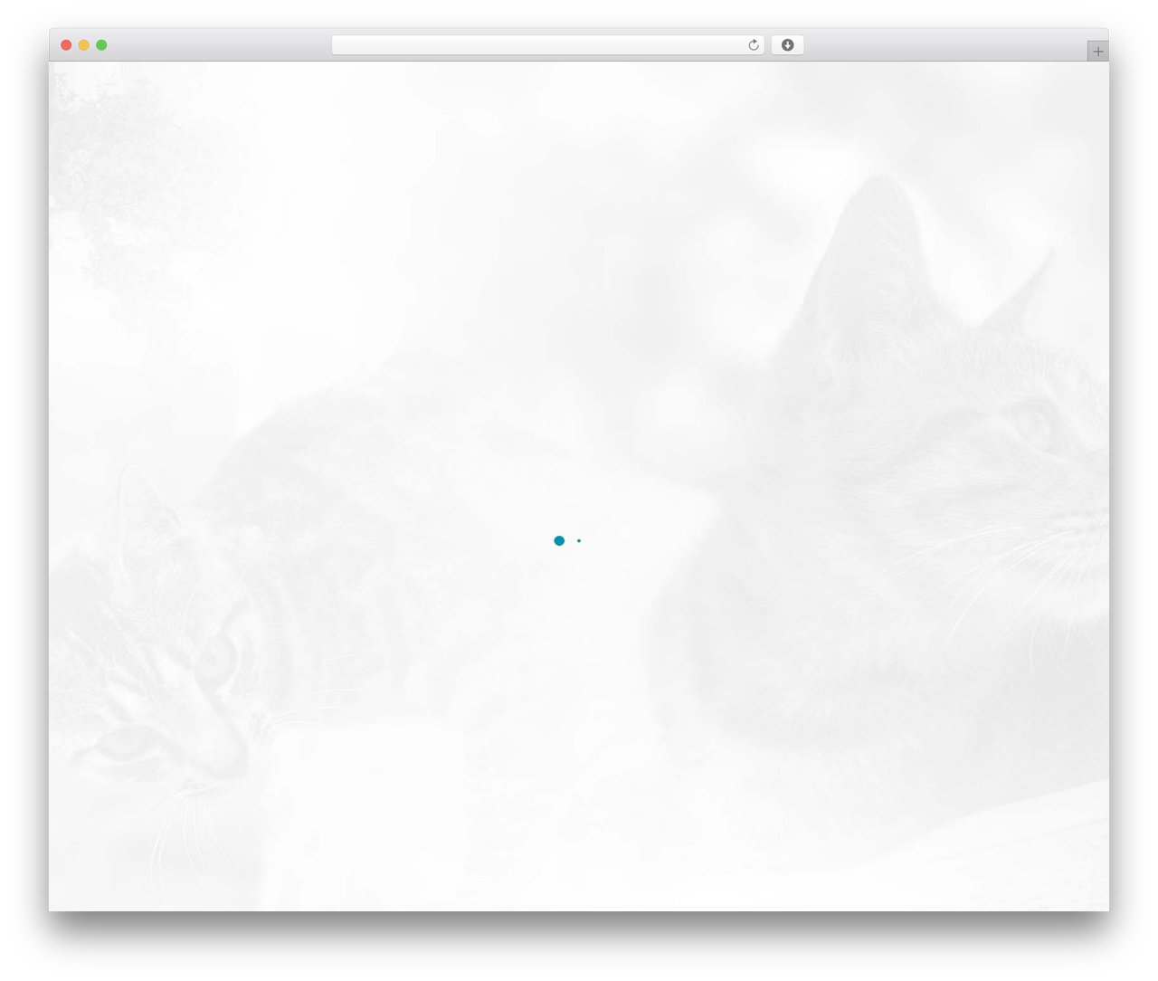 Shutter theme WordPress - catphotosafari.com Shutter theme WordPress - catphotosafari.com