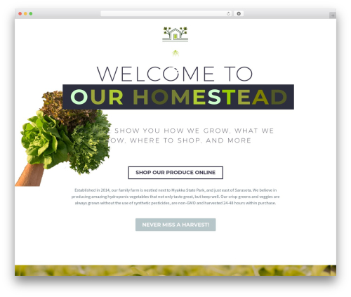 Easy forms for mailchimp WordPress plugin - homesteadhydrofarm.com