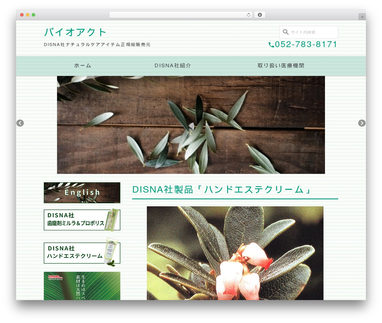 theme premium WordPress theme - disna.jp theme premium WordPress theme - disna.jp