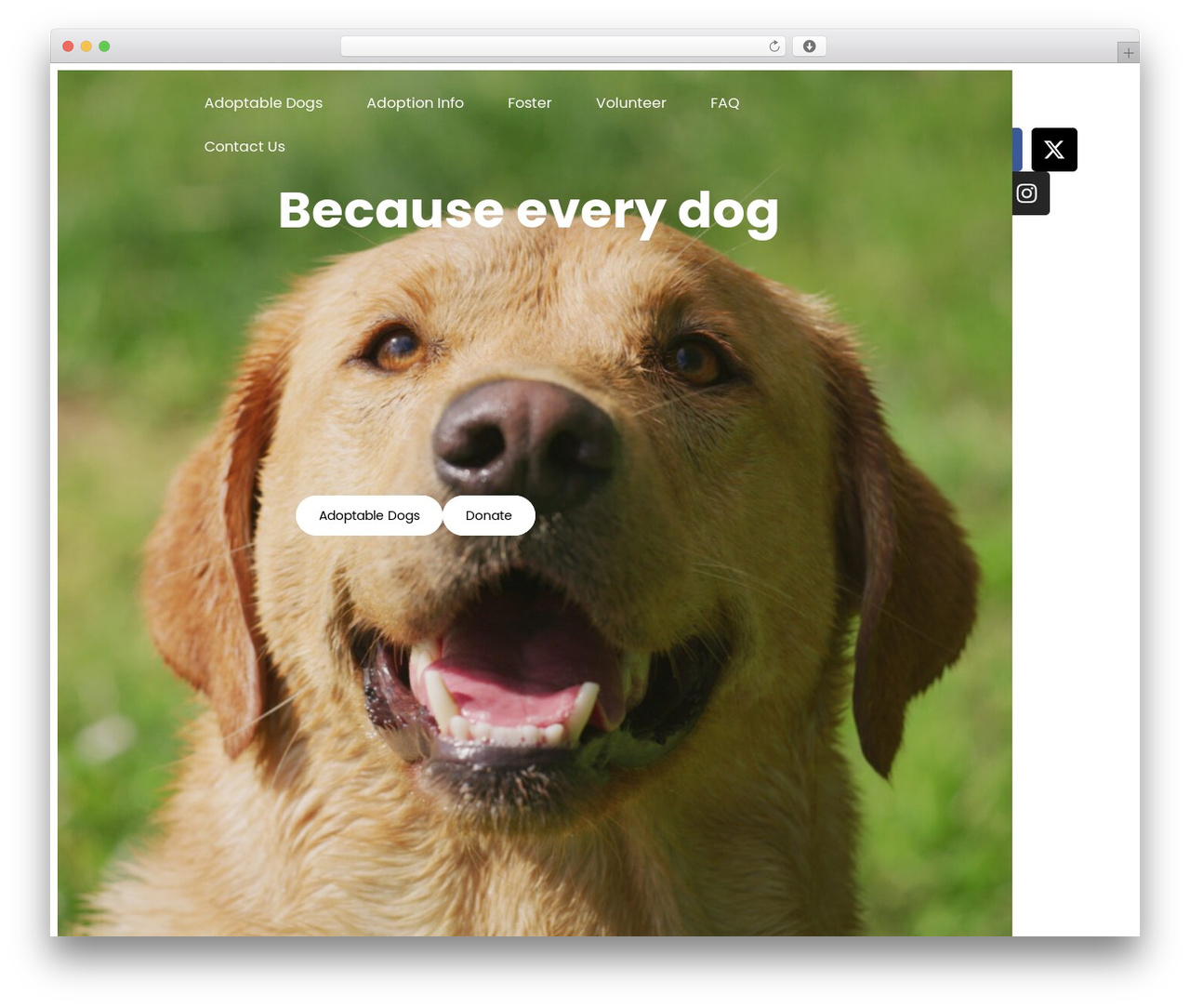 Theme WordPress Builder Theme - atlantalabrescue.com Theme WordPress Builder Theme - atlantalabrescue.com