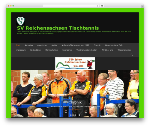 Ionos assistant WordPress plugin - svrtt.de