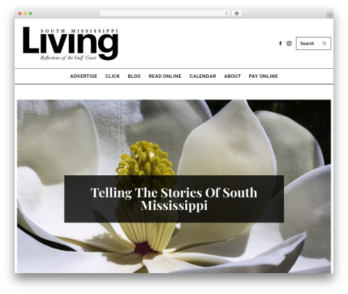 SimpleMag WordPress theme - smliving.net