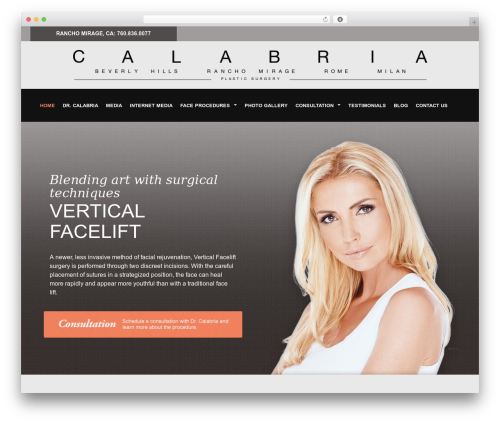 Starter Theme WordPress theme - facelift-palmsprings.com