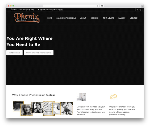 WordPress website theme Coiffeur - phenixsalonsuitesstuart.com