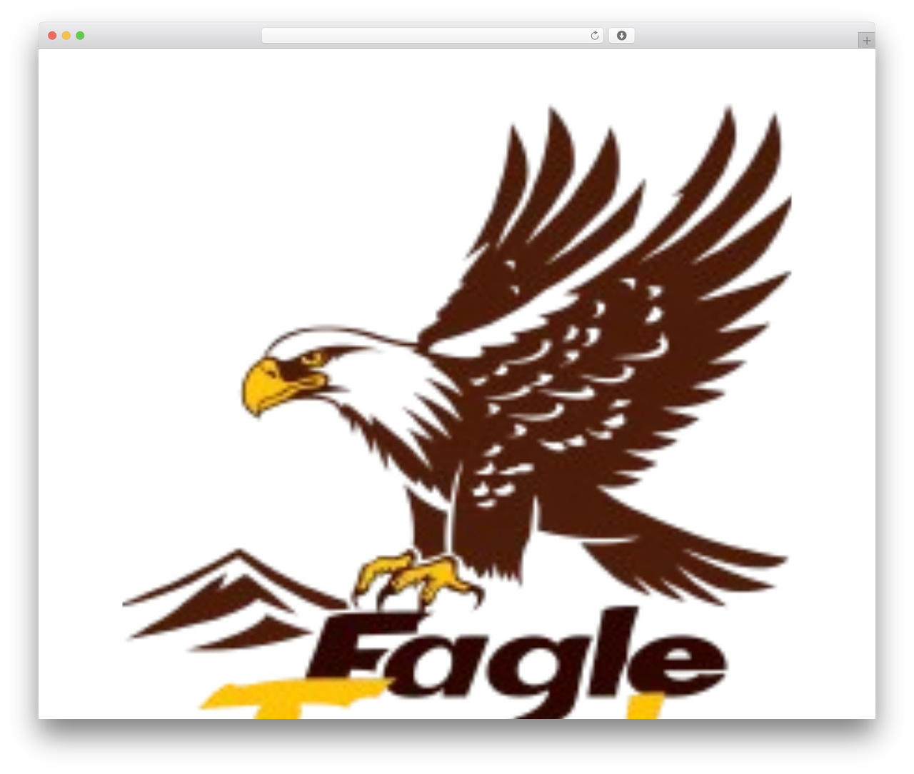 Divi theme WordPress - eagletravelclub.com
