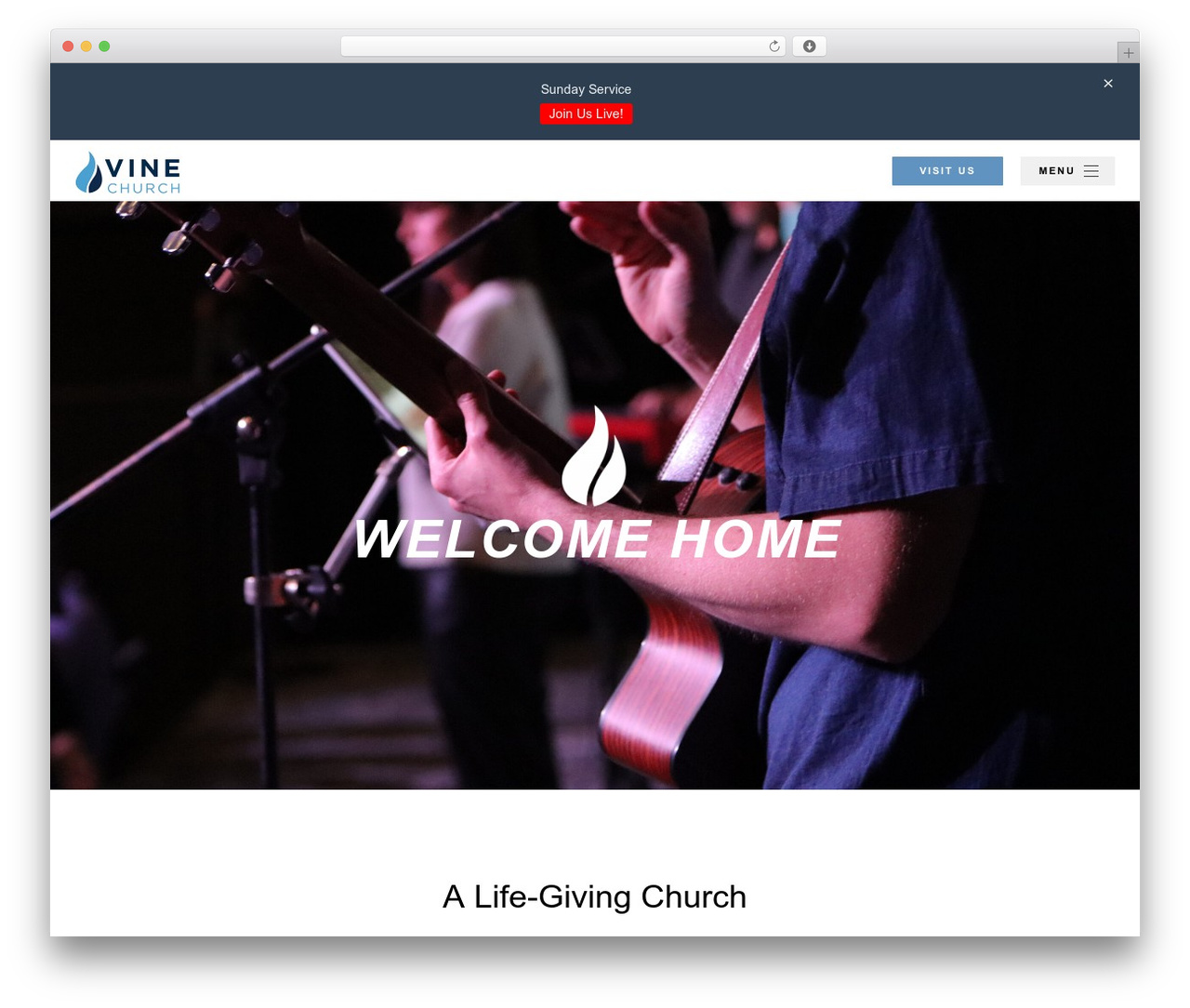 FoundationPress WordPress website theme - thevinetroy.com